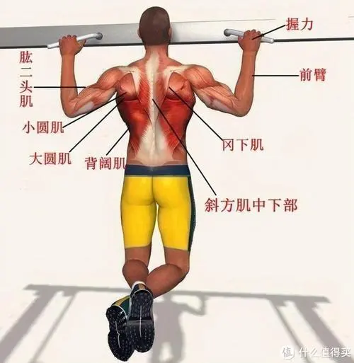 郑州丹水大道两侧绿化工程